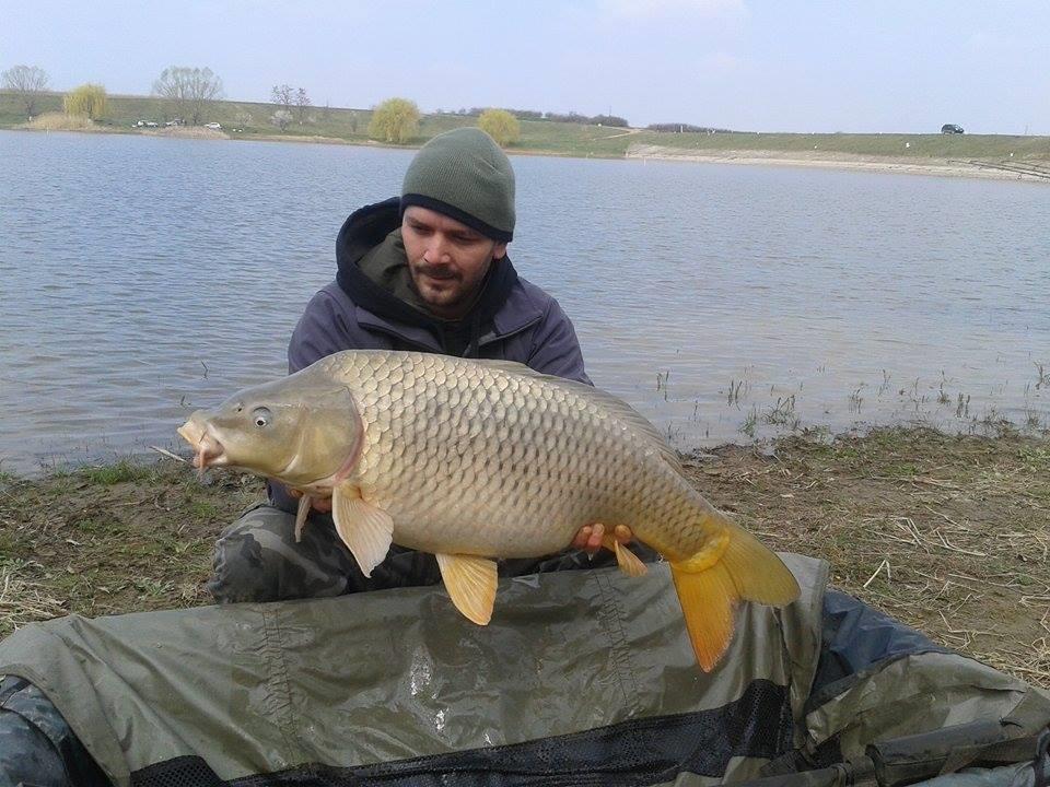 2015 - 11076044936389829727170356457781n.jpg